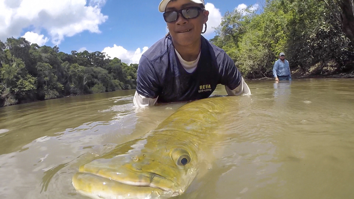 In the , a giant fish helps save the rainforest